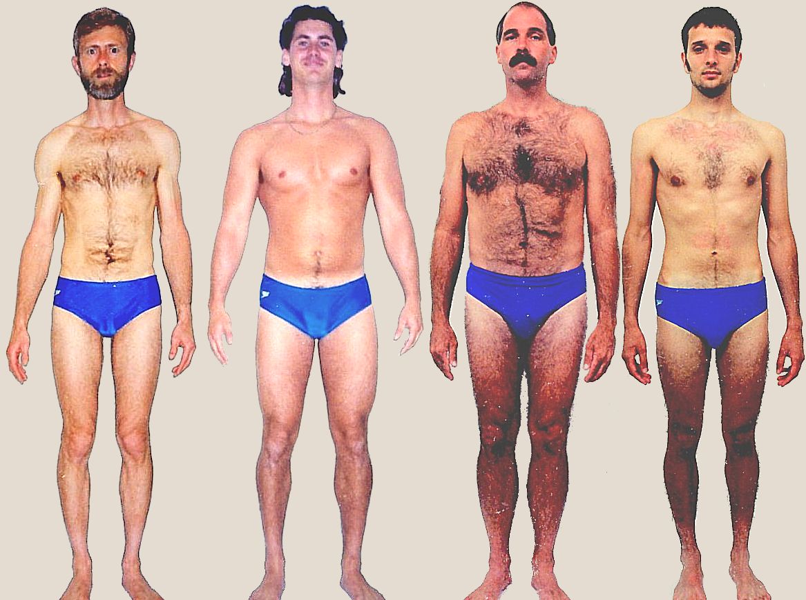 Thymus body type diet, characteristics and personality traits